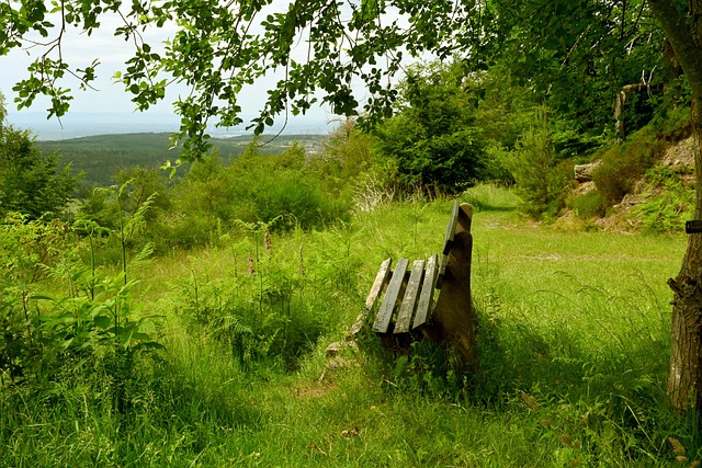 尤其是处于 尤其是处于