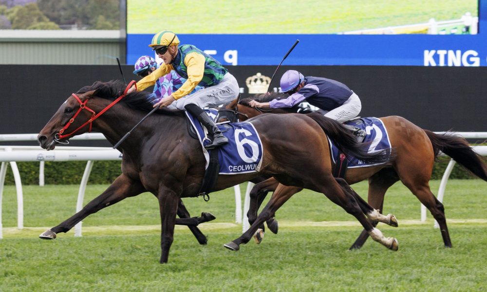 毋庸置疑的 毋庸置疑的