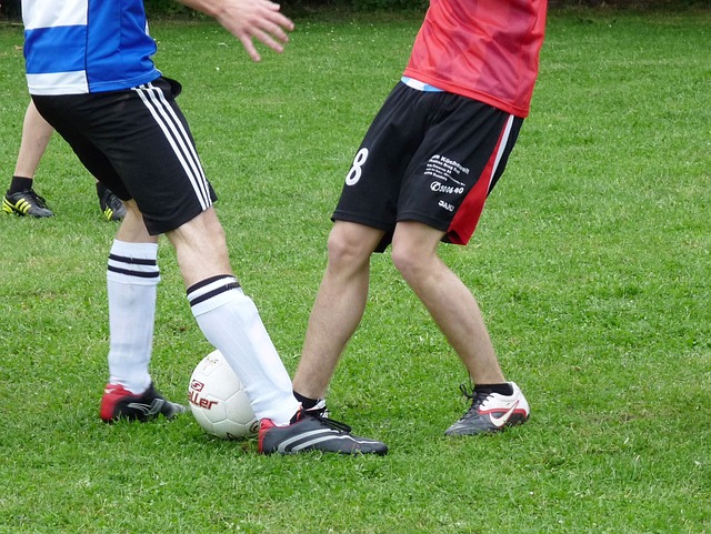 和收藏爱好 和收藏爱好